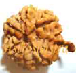 GAnesh