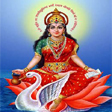 Gayatri Pendant