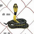 Kaal Sarp Dosh Nivaran Homam