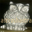 Parad Owl