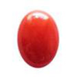 Red Coral