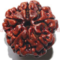 Rudraksh Beads & Pendants