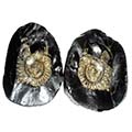 Shaligram Shilas